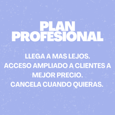 Plan profesional